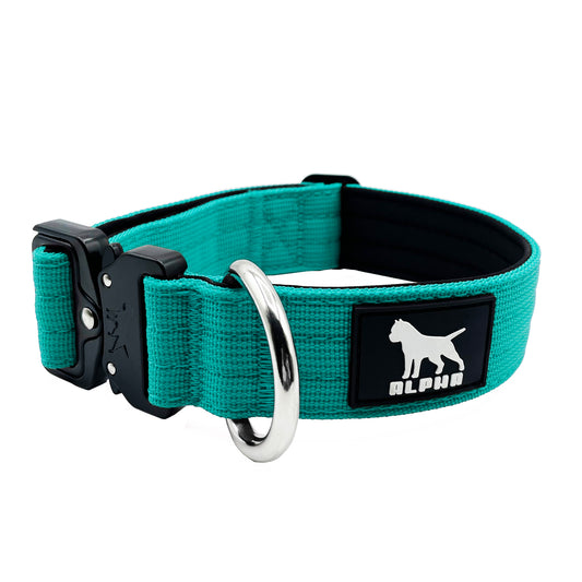 3cm Tactical Collar - Cyan