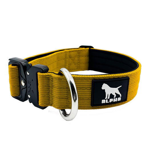 3cm Tactical Collar - Yellow