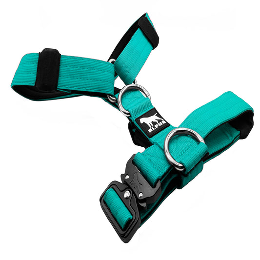 Tactical Harness - Cyan