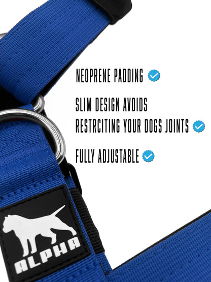 Mini Tactical Harness - Blue